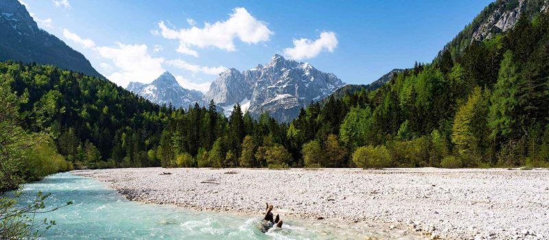 Hvorfor besøge Slovenien