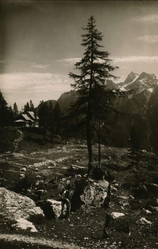 Sort-hvidt postkort fra 1900-1920: Udsigt fra vandløbet mod Erjavčeva Koča