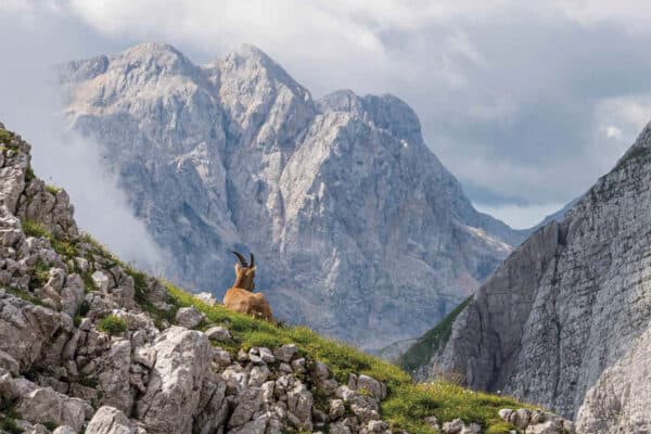 Blandt bjergene i 2026-kalenderen